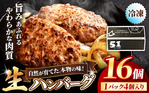 冷凍 ハンバーグ 生16個入り ( 4パック ) | お肉 肉 豚肉 白豚 お惣菜 惣菜 おかず 簡単調理 国産 九州産 大分県産 大分県 中津市