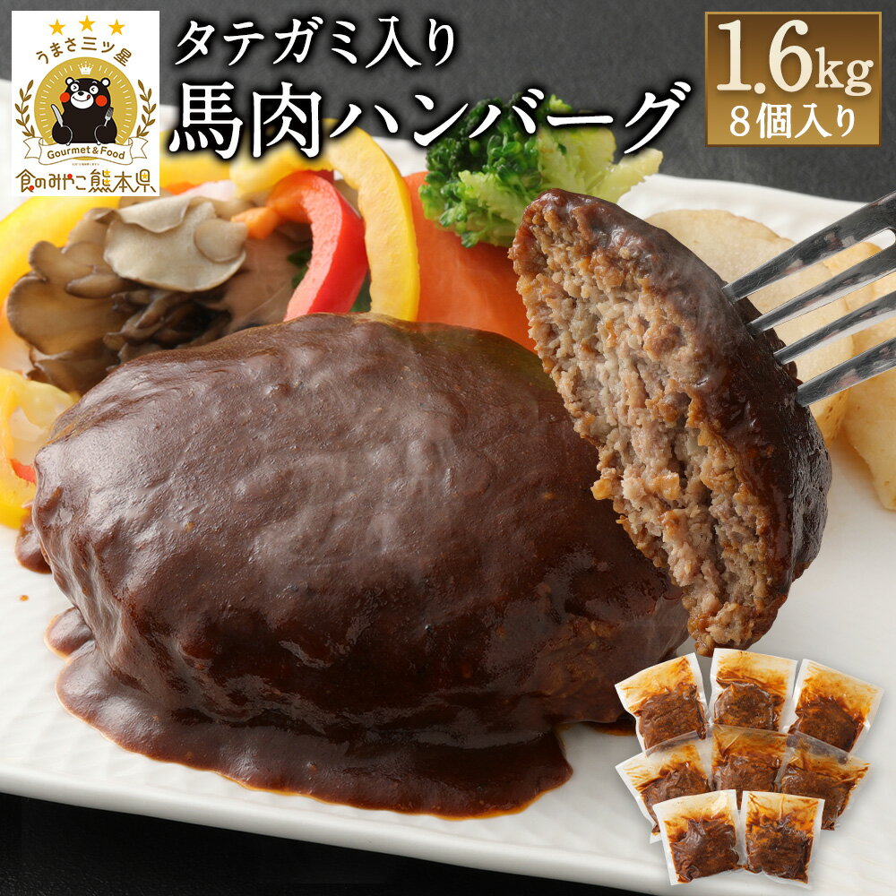 【ふるさと納税】タテガミ入り馬肉ハンバーグ 8個セット 合計約1.6kg 200g×8個 デミグラスソース ハンバーグ 菅乃屋 千興ファーム 馬肉 惣菜 おかず 真空パック 冷凍 送料無料