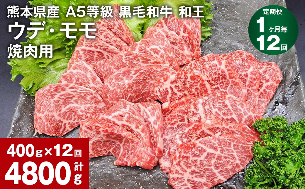 【1ヶ月毎12回定期便】熊本県産 A5等級 黒毛和牛 和王 ウデ・モモ 焼肉用 400g 計4800g