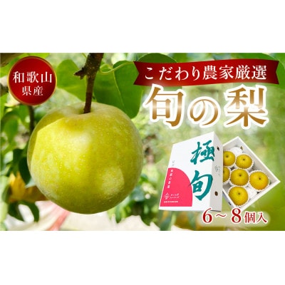 先行予約!　旬の梨　極上秀品(中玉～大玉)6～8個入り　2025年8月中旬頃から発送【配送不可地域：離島】