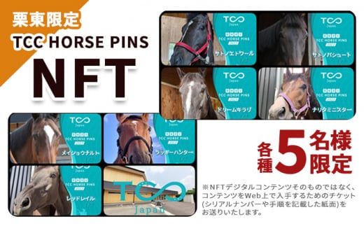 
栗東限定 TCC HORSE PINS
