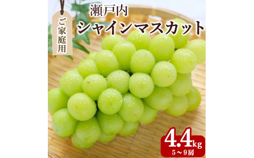 シャインマスカット5～9房(約4.4kg)家庭用