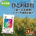 【ふるさと納税】 定期便 5kg 令和6年産 白米【毎月連続お届け】 ふるさと納税 米 岩手県 ひとめぼれ 岩手県産 ひとめぼれ 5kg