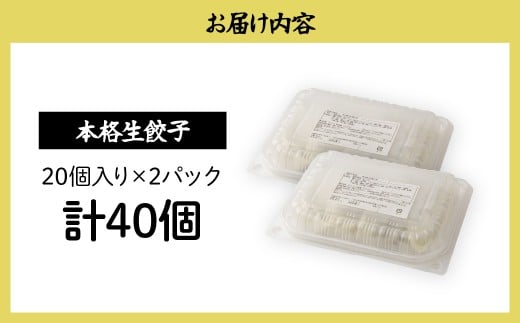 本格生餃子20個×2箱 餃子 40個 人気店の旨味あふれる冷凍餃子 | 大量 大容量 ギョウザ 冷凍餃子 ギョーザ 冷凍ギョウザ 冷凍 冷凍ぎょうざ ぎょうざ ぎょーざ おいしい 手軽 食べ比べ 美味