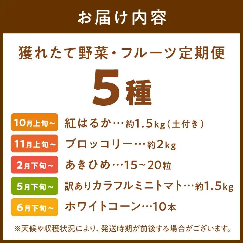 【旬の野菜定期便】イチゴやヤサイ 全5種  旬野菜