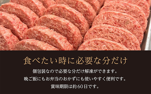 【偶数月6回】佐賀牛使用 ハンバーグ 定期便 全6回 k-13