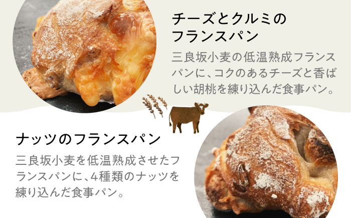 【冷凍】mugimugiの贅沢パンセレクション13個セット パン 詰め合わせ 人気 パン屋 三次市/麦麦 [APCI001]