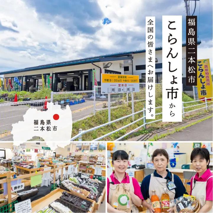 米 定期便 3ヶ月 JAふくしま未来 コシヒカリ 5kg×2袋【こらんしょ市】