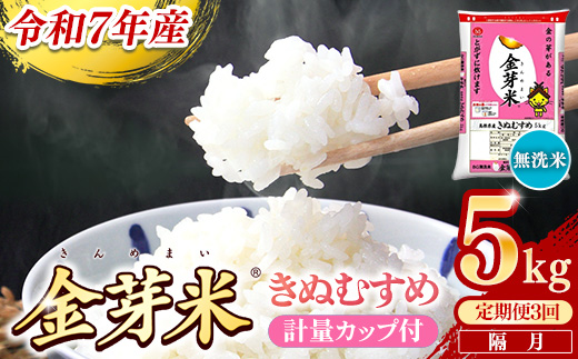 【定期便】BG無洗米・金芽米きぬむすめ 5kg×3回 （隔月）計量カップ付き【令和7年産 2ヶ月に1回 6ヶ月 計15kg 東洋ライス 健康 島根県 安来市】【価格変更】【45-SS-18】