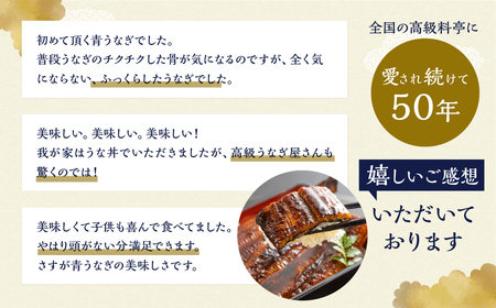 【定期便】幻の青うなぎ 蒲焼 2尾 全6回 うなぎ