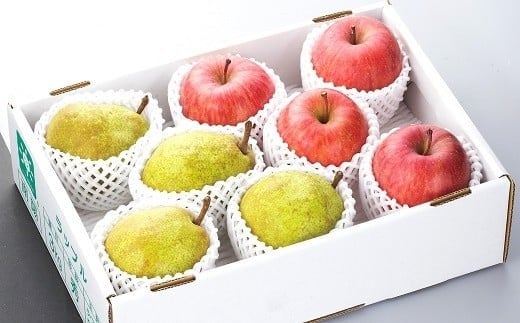 
            【令和8年産先行予約】 JA ラ･フランス と ふじリンゴ の詰合せ 計約4kg 《令和8年11月中旬～12月上旬発送》 『JA山形おきたま』 山形県 南陽市 [716-R8]
          