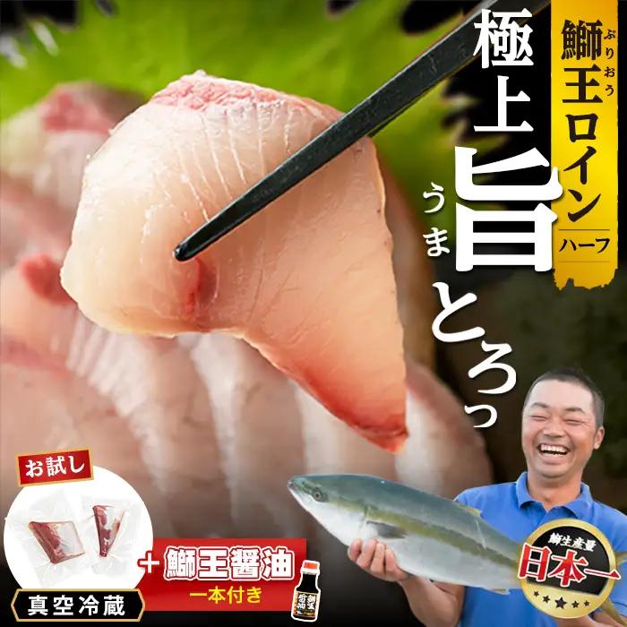 【冷蔵】ぶりの王様「 鰤王 」お試しスキンレスロインハーフ 2P入り【鰤王しょう油付】 ぶり ブリ 鰤 ぶりしゃぶ たたき 産地直送 新鮮 旨味が抜群の 長島町 特産品【JFA】jfa-1679A
