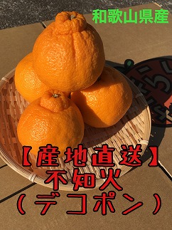 【産地直送】☆不知火☆家庭用☆約10kg AL09