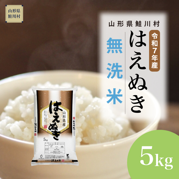 令和7年産　山形県産 はえぬき 【無洗米】 5kg （5kg×1袋） 数量限定　配送時期指定できます！　鮭川村