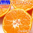 【ふるさと納税】有田みかん 2kg 訳あり ご家庭用 2S ~ S サイズ 有田 小玉 みかん 温州みかん フルーツ 果実 果物 デザート 柑橘 国産 食品 濃厚 甘い 酸味 ジューシー お取り寄せ 和歌山県 湯浅町 送料無料