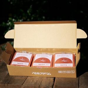 ベルファームの冷凍トマトジュース 国産トマト100% 100g×15袋 【離島・沖縄配送不可】【配送不可地域：離島・沖縄県】【1691755】