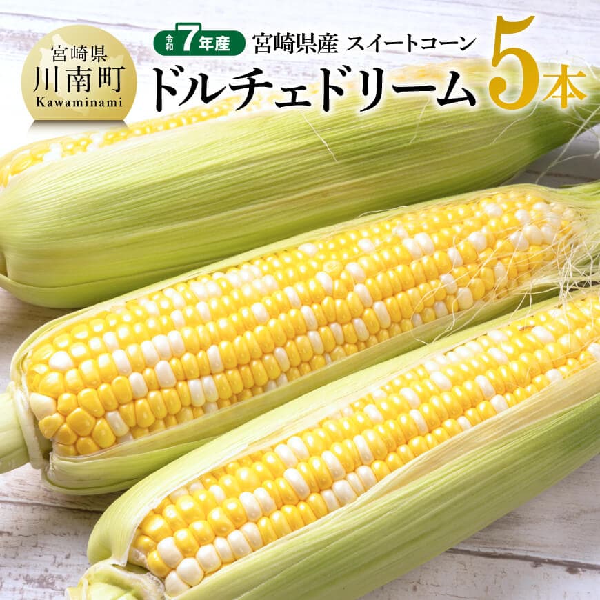 【ふるさと納税】※レビューキャンペーン※【令和7年産】宮崎県産とうもろこし　スィートコーン「ドルチェドリーム」5本 - トウモロコシ コーン ドルチェドリーム とうきび 新鮮 野菜 農家直送 期間限定 先行予約 先行受付 九州産 宮崎県産 川南町 送料無料 C10803