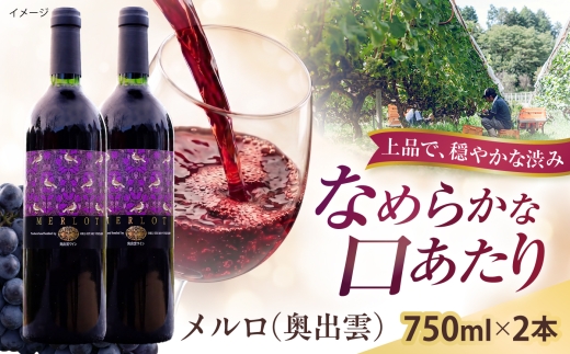 奥出雲ワイン メルロ 2本 750ml×2 赤ワイン 国産 島根県雲南市/有限会社奥出雲葡萄園 [AICS096]