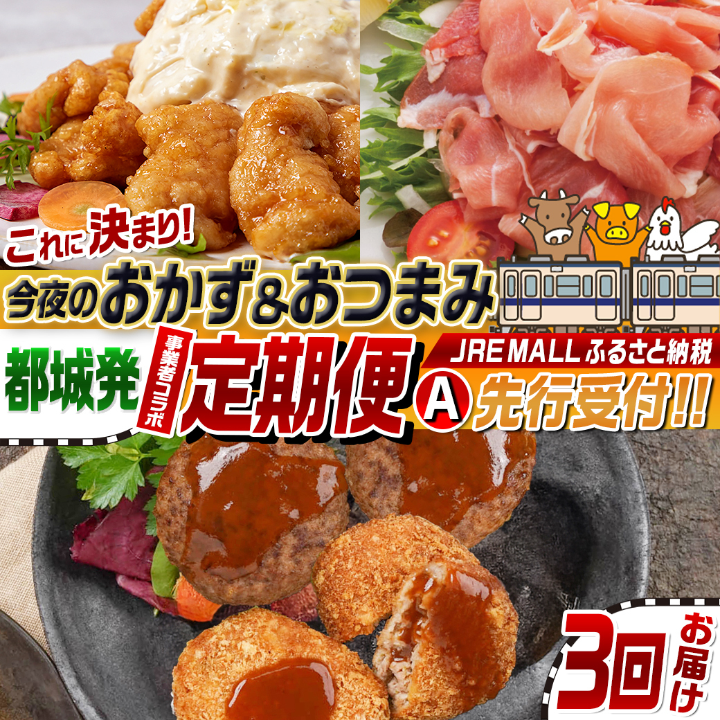 【事業者コラボ定期便】今夜のおかず＆おつまみはこれに決まり！3回定期便A