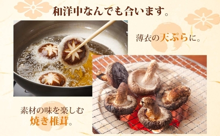 しいたけ800g (100g×8) 菌床 肉厚 生しいたけ ジューシー 小分け 食物繊維 国産 お取り寄せ グルメ こだわり しいたけ 椎茸 シイタケ きのこ ヘルシー エコサンファーム 送料無料 埼