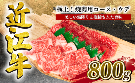 近江牛 特選 焼肉 800g 冷凍 牛ロース ウデ ( 焼肉近江牛 焼き肉近江牛 高級近江牛 人気近江牛 和牛 近江牛 ブランド牛 和牛 近江牛 三大和牛 牛肉 滋賀県 近江牛 竜王 和牛 近江牛 冷凍 近江牛 贈り物 和牛 近江牛 ギフト 和牛 近江牛 プレゼント 和牛 近江牛 黒毛和牛 近江牛 岡喜 和牛 近江牛 和牛 和牛 和牛 和牛 和牛 和牛 和牛 和牛 和牛 和牛 和牛 和牛 和牛 和牛 和牛 和牛 和牛 和牛 和牛 和牛 和牛 和牛 和牛 和牛 和牛 和牛 和牛 和牛 和牛 和牛 和牛 和牛 