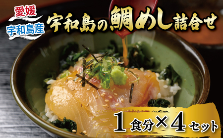 鯛めし 4食 セット 辻水産 真鯛 鯛 マダイ タイ 冷凍 真空パック お手軽 刺身 お刺身 お刺し身 刺し身 海鮮丼 漬け丼 漬け 郷土料理 鯛飯 海鮮 海の幸 魚介 人気 加工品 産地直送 国産 愛媛 宇和島 真鯛 漬け丼 海鮮丼 真鯛 漬け丼 海鮮丼 真鯛 漬け丼 海鮮丼 真鯛 漬け丼 海鮮丼 真鯛 漬け丼 海鮮丼 真鯛 漬け丼 海鮮丼 真鯛 漬け丼 海鮮丼 真鯛 漬け丼 海鮮丼 真鯛 漬け丼 海鮮丼 真鯛 漬け丼 海鮮丼 真鯛 漬け丼 海鮮丼 真鯛 漬け丼 海鮮丼 真鯛 漬け丼 海鮮丼 真鯛 漬け丼