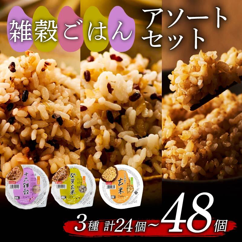 【ふるさと納税】 選べる 個数 雑穀 ごはんパック セット 3種 160g 24個 48個 玄米 十六穀米 発芽玄米 パックごはん パックご飯 ごはんパック ご飯パック パックライス パック 玄米 16雑穀 雑穀 米 ごはん ご飯 こめ ライス 備蓄 保存 防災 レンジ 温めるだけ 健康 レトルト