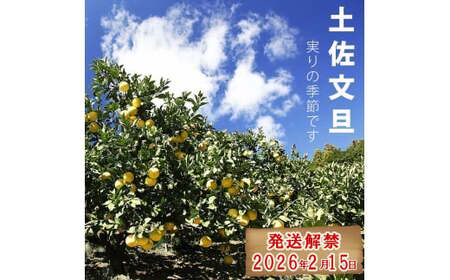 【先行予約】【訳あり】土佐文旦 B級品 (約7?13個入り) 約5kg 高知県土佐市 【株式会社SHIRAKI】 [BQAI013]