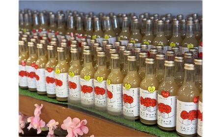 ＜2026年1月下旬よりお届け＞りんごジュース「北国の雫」(壮瞥町産りんご100%) 300ml×5本 SBTA082