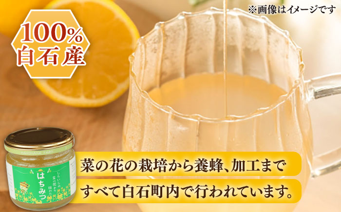 【白石町産】【糖が多くクリーミー】菜の花はちみつ 150g×2個[IAA020]