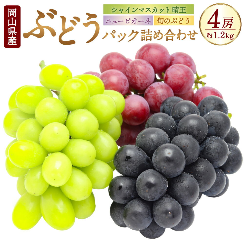 【ふるさと納税】岡山県産 ぶどうパック 詰合せ 3種 4パック 合計4房 約1.2kg ニューピオーネ シャインマスカット 晴王 旬のぶどうお任せ セット ピオーネ マスカット ぶどう 葡萄 果物 フルーツ デザート 詰め合わせ 食べ比べ 送料無料【2025年9月上旬～10月下旬発送予定】
