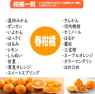柑橘詰め合わせセット 家庭用4種以上 約7kg 和歌山産≪先行予約2027年1月下旬頃より順次発送分≫【1142-4】