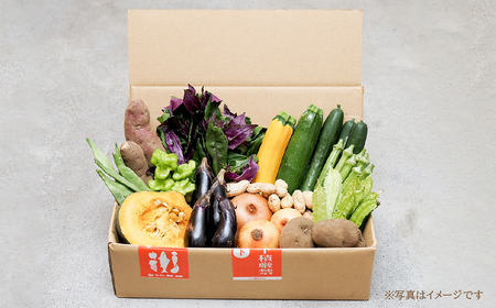 ＜6ヵ月定期便＞旬の野菜詰め合わせ 11～12種 |野菜セット 詰め合わせ 定期便