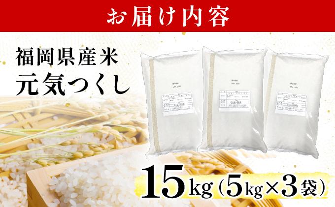 《20営業日内発送》福岡県産米 元気つくし 15kg 令和６年産【精米 6年産 国産 福岡県産 お米 ブランド米 15kg げんきつくし】 CY013 15kg（5kg×3袋）