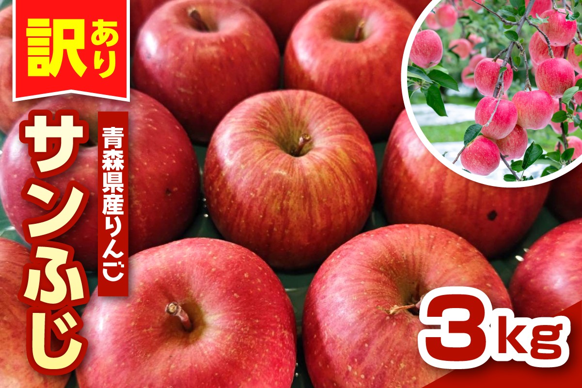 
            りんご　青森 サンふじ 3kg 程度 《 訳あり 》 農家直送 【配送時期が選べる： 11月 12月 】サンフジ 青森県五所川原市 傷 キズ ワケアリ 林檎 リンゴ apple
          
