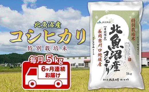 7T05-6【6ヶ月連続お届け】北魚沼産コシヒカリ特別栽培米5kg（長岡川口地域）【2026年2月発送開始】