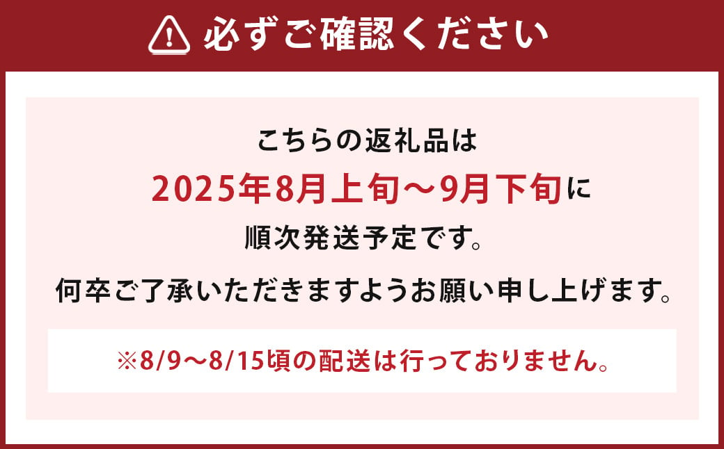 数量限定 よらん野 特選 梨 と ぶどう セット（品種おまかせ） 【2025年8月上旬～9月下旬発送】 幸水 豊水 新興 葡萄 巨峰 ピオーネ 果物 フルーツ