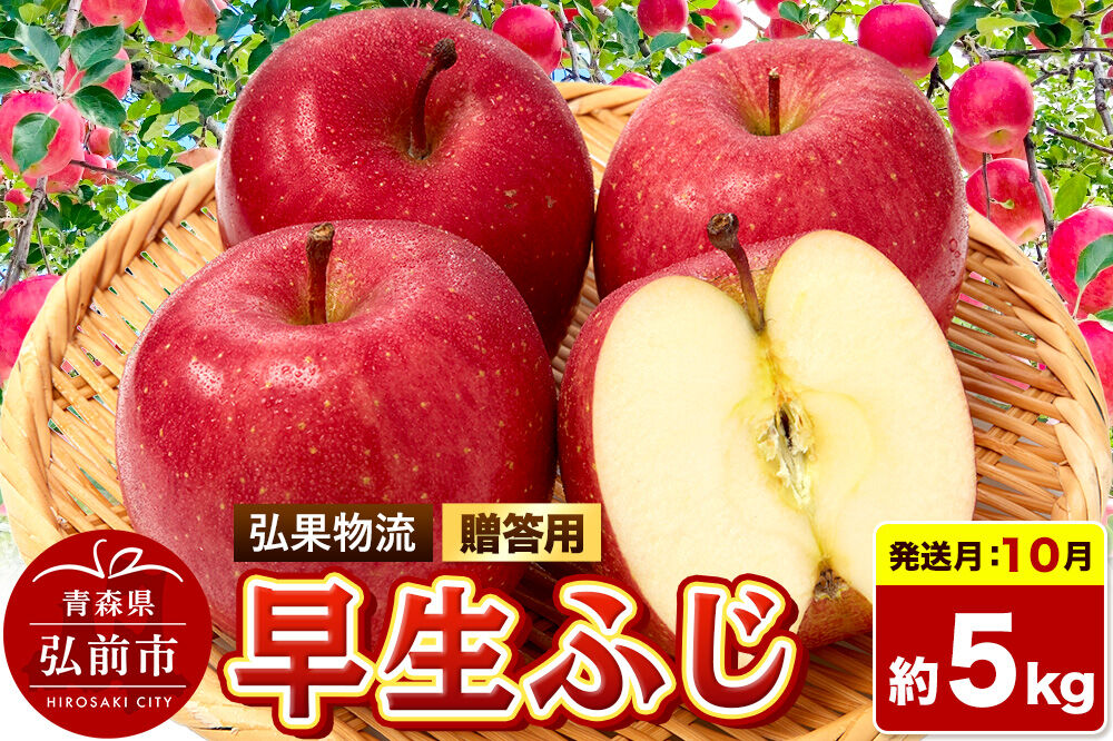 【26年10月発送】りんご 早生ふじ【贈答用】約5kg 青森県 弘前市 [早生ふじ りんご 贈り物 贈答用 お歳暮 お中元 ギフト 5キロ アップル おいしい 果実 果物 詰め合わせ セット 赤色 美味]
