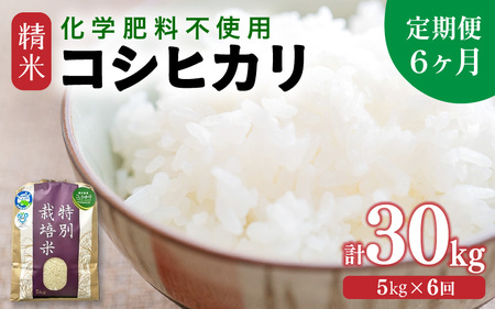 【令和7年産 新米】【定期便6回】 化学肥料不使用コシヒカリ 精米 5kg×6回 （計30kg）/ 白米 米 福井県あわら市産 美味しい 特別栽培米 減農薬 安心な米 旨味 甘み もっちり エコファーマー こしひかり 冷蔵保管米 [aw010-h001]