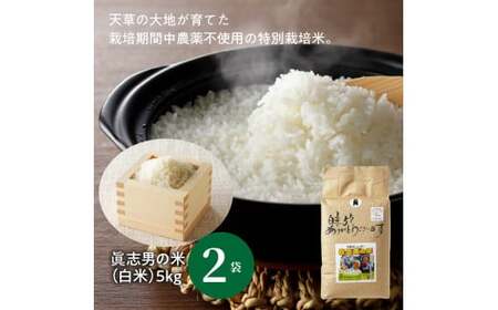 S067-019_【令和5年産】健幸米10kgセット(コシヒカリ・玄米めんなど）