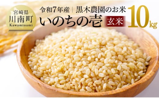 【令和7年産】黒木農園のお米「いのちの壱(玄米)」10kg 【 米 お米 玄米 国産 宮崎県産 いのちのいち おにぎり 】