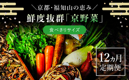 ＜12ヵ月定期便＞鮮度抜群「京野菜」 食べきりサイズ6～7品詰合せ(毎月×12回) ふるさと納税 福知山市 京野菜 野菜 新鮮 食べきり 詰合せ 定期便 12か月 【fc-CM005】【ふくこめoffice】