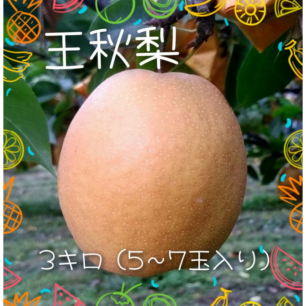 【ふるさと納税】王秋梨 3kg【まえた農園】