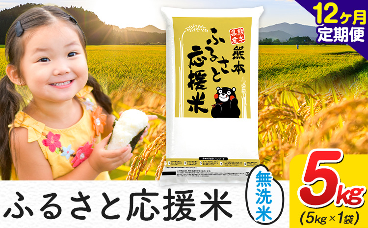 【12ヶ月定期便】米 無洗米 家庭用 熊本 ふるさと応援 定期便 米 5kg《お申込み翌月から出荷》 熊本県産 白米 精米 山江村 ブレンド米 国産 おうちご飯 予約 返礼品 発送 配送 SDGs わけあり むせんまい お米 おこめ---ym_youenmimtei_5kg_138000_mo12---