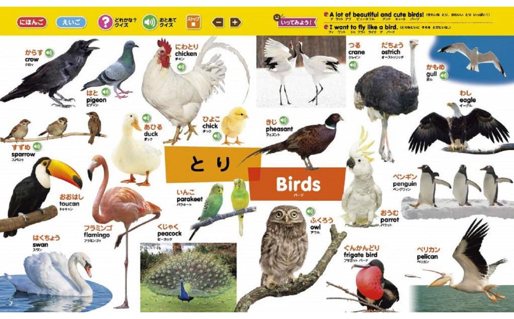 【小学館】累計発行80万部突破！ タッチペンで音が聞ける！はじめてずかん1000 英語つき［ 小学館 知育 玩具 図鑑 大人気 おすすめ 子ども こども おもちゃ タッチペン お祝い ギフト プレゼン