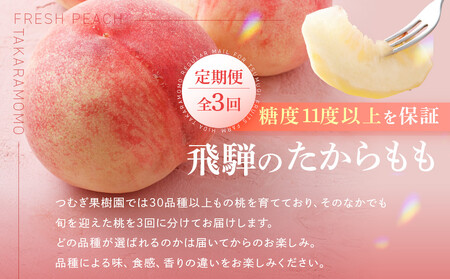 【数量限定/先行予約】≪定期便3回≫ 飛騨のたから桃 食べ比べ定期便4～8玉 糖度11度以上｜7月・8月・9月にお届け！ 桃 おまかせ 旬 果物 飛騨高山 厳選 産直 つむぎ果樹園 GH105