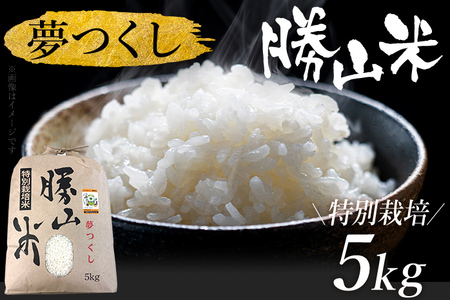 令和7年産 夢つくし 勝山米 種類を選べる ＜特別栽培 勝山米5kg＞ 福岡県産 特別栽培米
