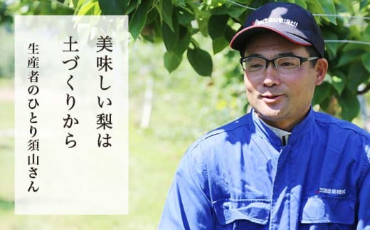 無化学肥料栽培にこだわって土づくりから美味しい梨の栽培に力を注いでおり、定期的な土壌検査を行い、客観的なデータで管理しています。