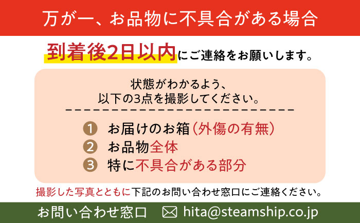 【先行予約・7月以降発送】尺玉西瓜 1玉（約7kg～9kg） 日田市 / JAおおいた [AREW001]