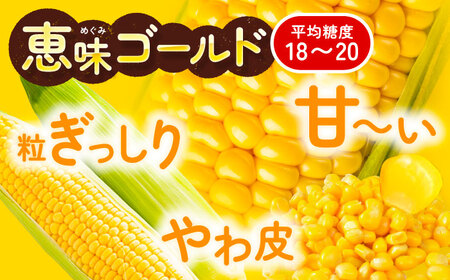 【全2回定期便】とうもろこし＆じゃがいも[BEAA008]